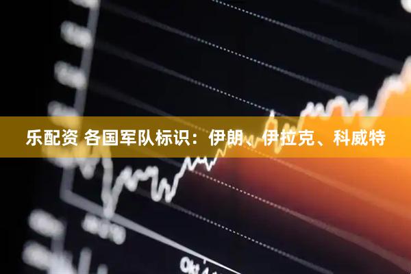乐配资 各国军队标识：伊朗、伊拉克、科威特