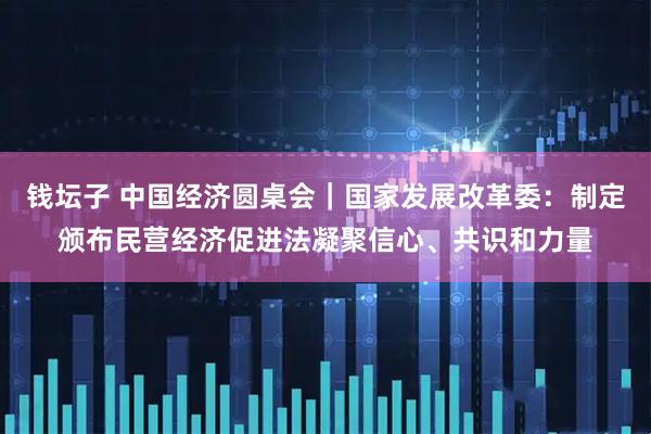 钱坛子 中国经济圆桌会｜国家发展改革委：制定颁布民营经济促进法凝聚信心、共识和力量