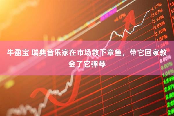 牛盈宝 瑞典音乐家在市场救下章鱼，带它回家教会了它弹琴