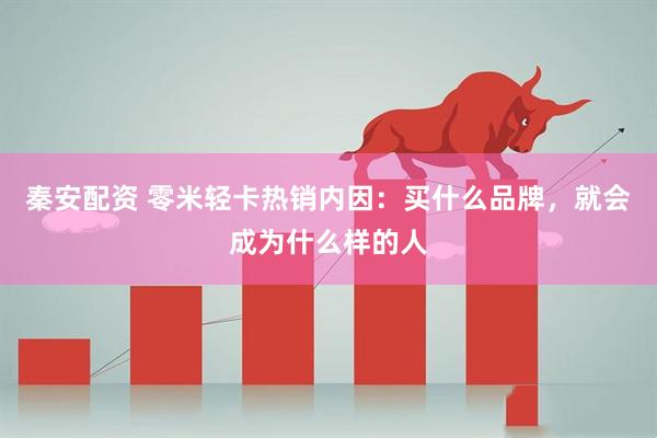 秦安配资 零米轻卡热销内因：买什么品牌，就会成为什么样的人